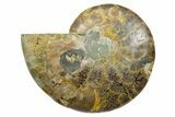Cut & Polished Ammonite Fossil (Half) - Madagascar #347509-1